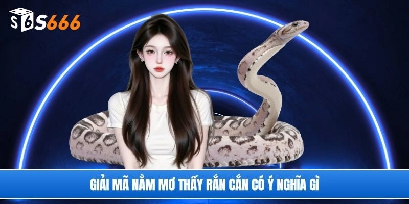 Giải mã nằm mơ thấy rắn cắn có ý nghĩa gì