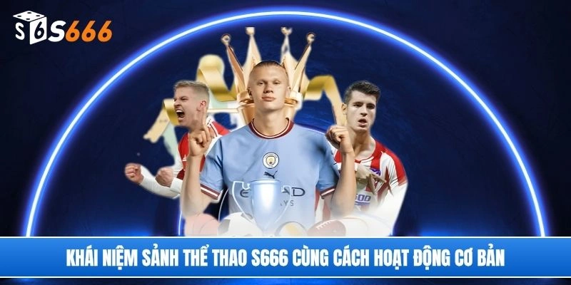 Khái niệm sảnh thể thao S666 cùng cách hoạt động cơ bản