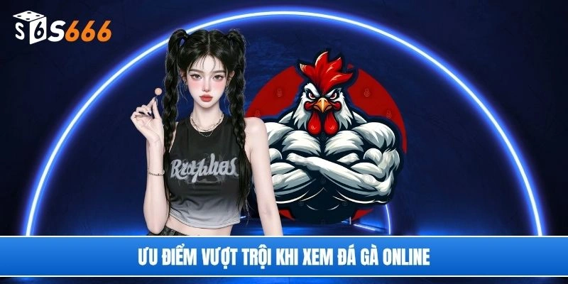 Ưu điểm vượt trội khi xem đá gà online