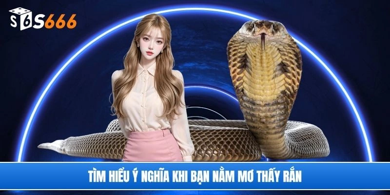Tìm hiểu ý nghĩa khi bạn nằm mơ thấy rắn